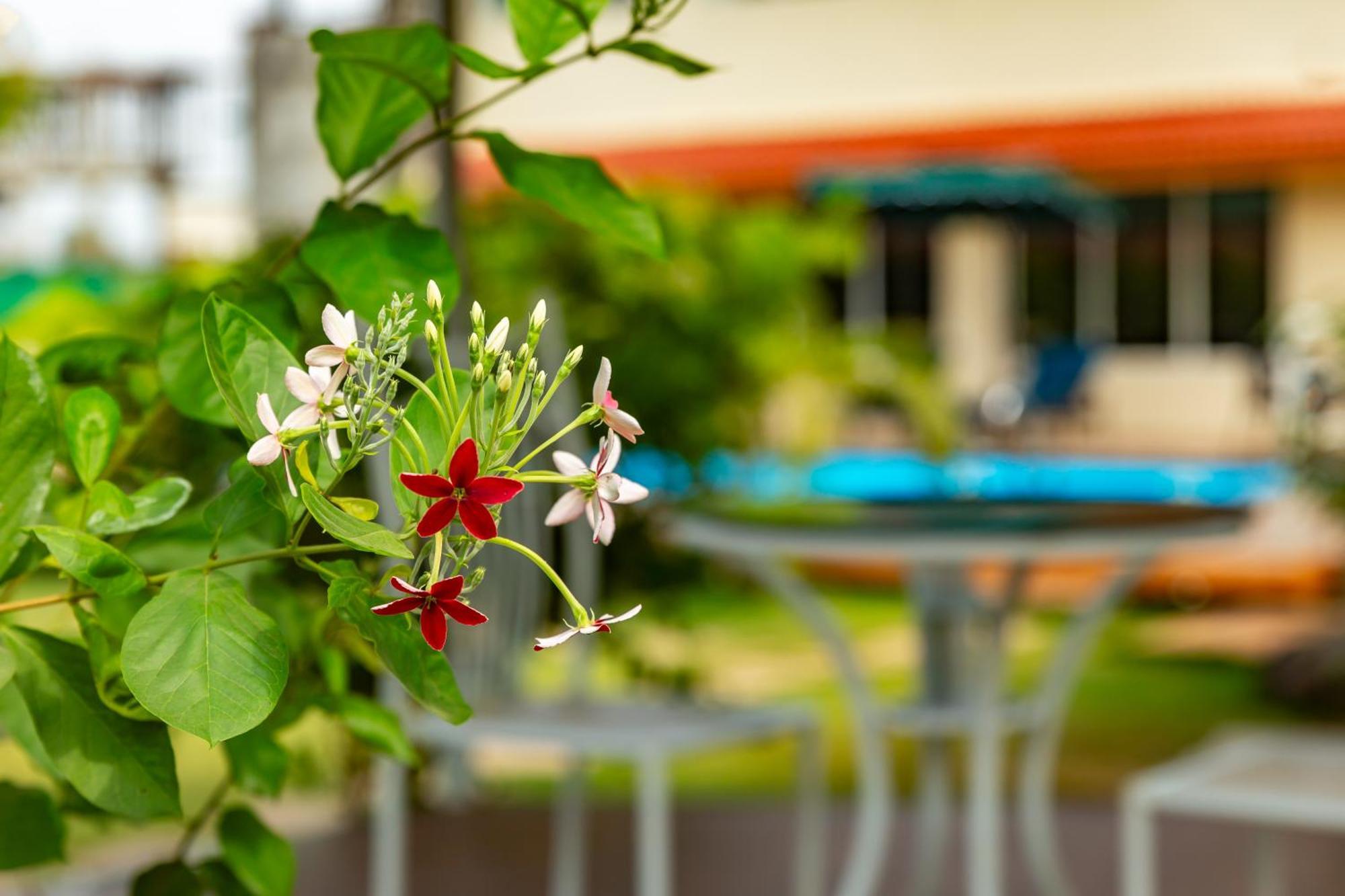 Casa Amora Lonavala Dış mekan fotoğraf